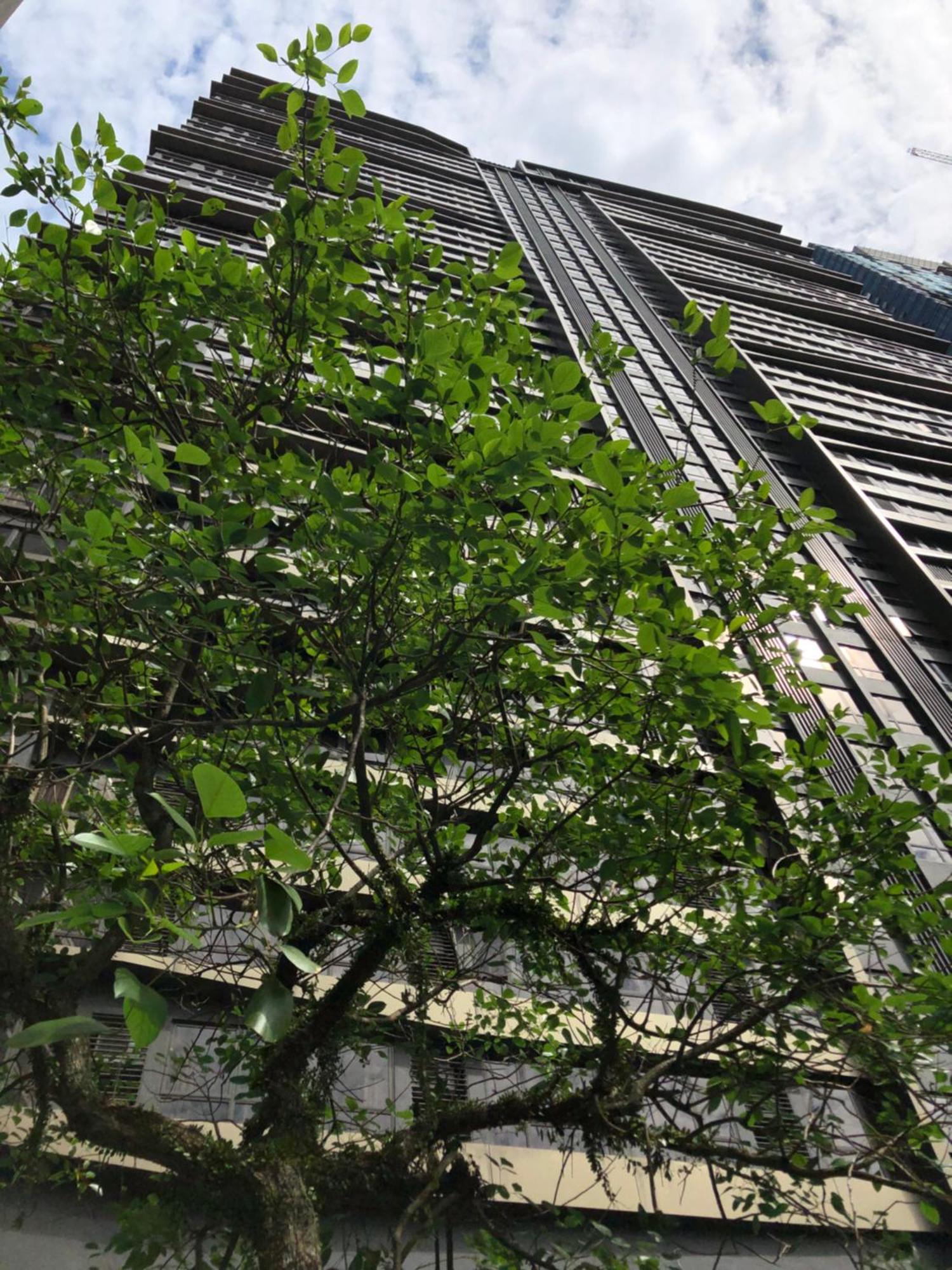 8 Kia Peng Suites Klcc By Luna 쿠알라룸푸르 외부 사진
